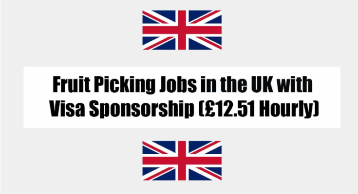 Picker and Packer Jobs in the UK with Work Visa Sponsorship 2024