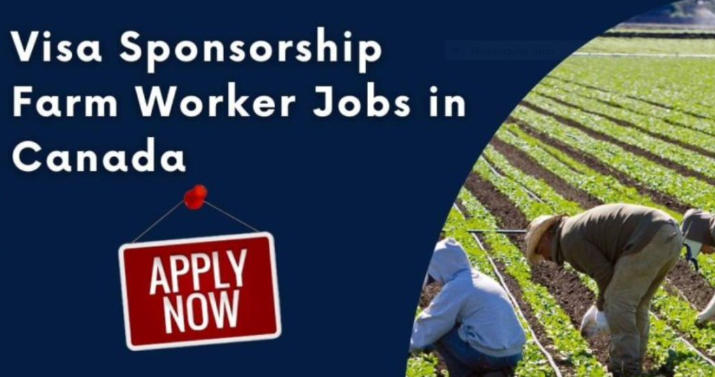 Jobs in Canada for Foreigners with Visa Sponsorship – Farm Hand/Labourer 2024